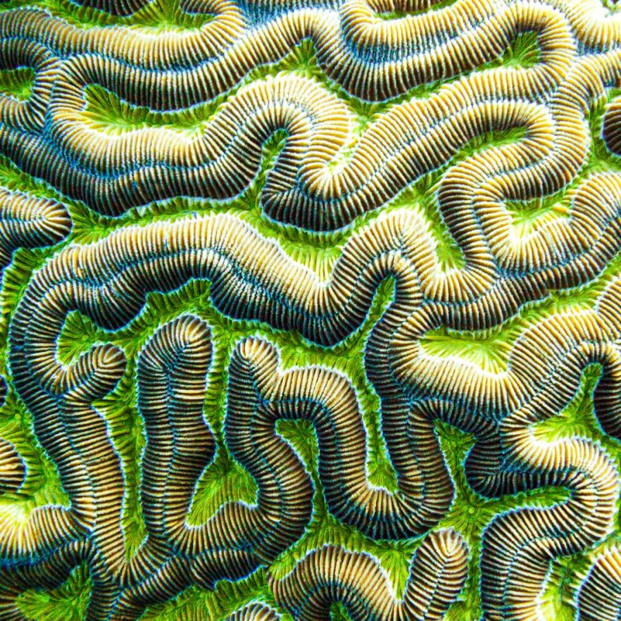 Underwater Over Water